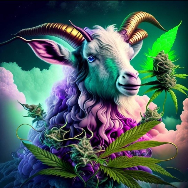 Double the Fun Triple the Fire: Your Guide to Our NEW 2G & 3G Hardware