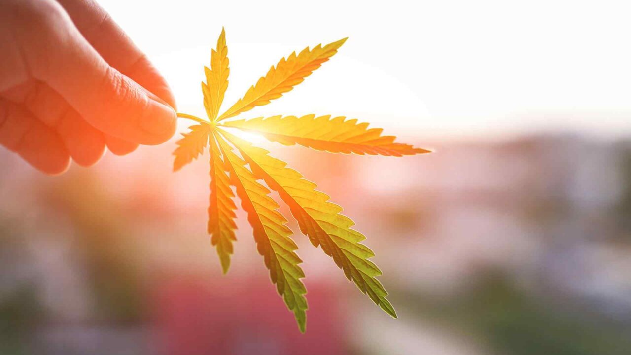 Activities to Try With Your Friends While High