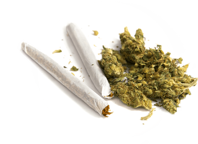 https://bestcoastbuds.com/wp-content/uploads/2019/01/our-menu-inner.png