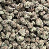 Purple Punch Indoor Smalls - Image 3