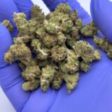 Purple Punch Indoor Smalls - Image 2