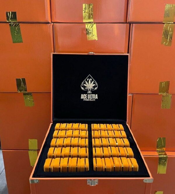 2g Ace Dispo -Spring Edition-Authentic