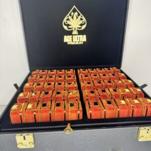 2g Ace Dispo -Summer Edition-Authentic